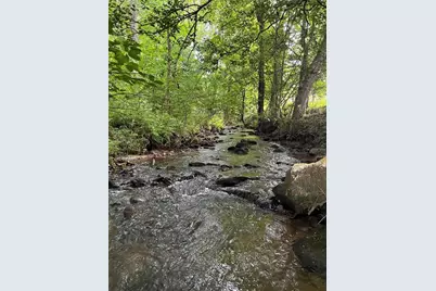 127 Black Ankle Drive, Cherry Log, GA 30522 - Photo 1