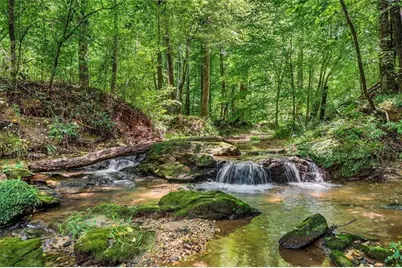 452 Blacks Mill Road, Dawsonville, GA 30534 - Photo 1