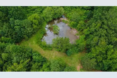 25 Elizabeth Drive, Senoia, GA 30276 - Photo 1