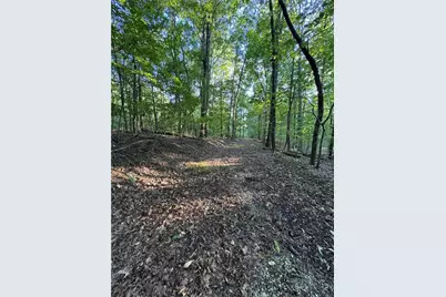 0 Bull Gap Road, Talking Rock, GA 30175 - Photo 1