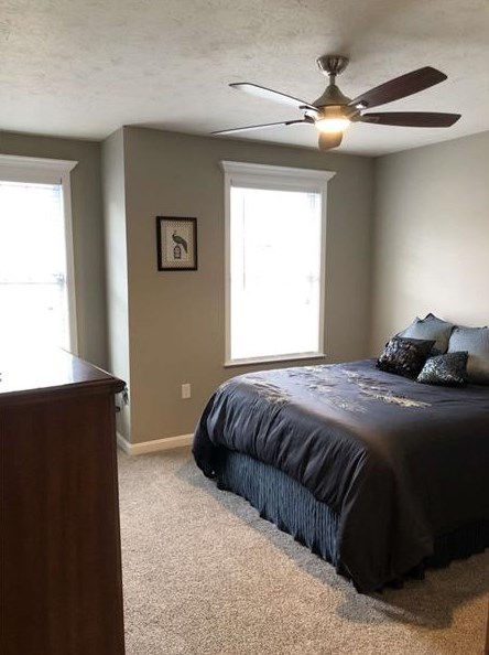 607 Freedom Dr, Collier Township PA  15106-1598 exterior