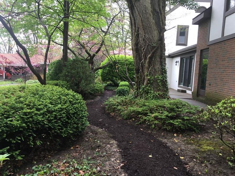 100 Red Fox Dr, Beaver Falls, PA 15010