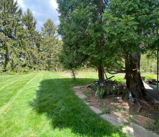 313 Holyoke Rd, Butler PA  16001-1214 exterior