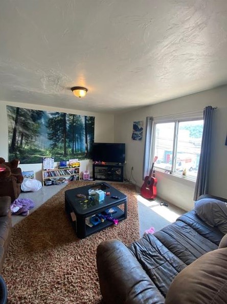 209 E 7th Ave, Tarentum, PA 15084