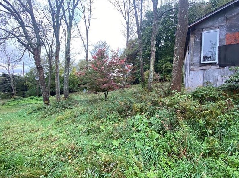 11481 Trask Rd, Waterford, PA 16441