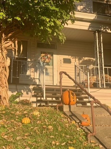 451 Delaware Ave, Rochester, PA 15074