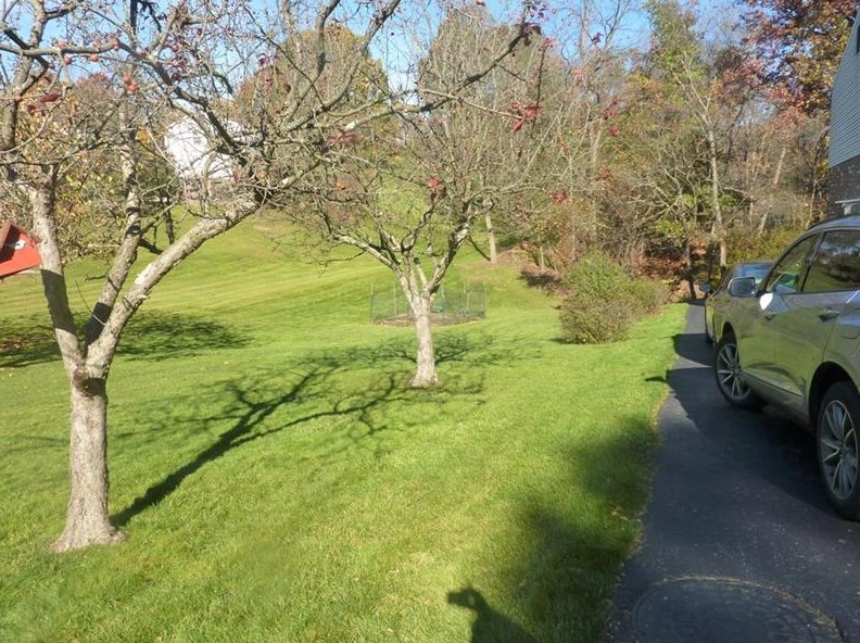 2107 Coventry Dr, Allison Park PA 15101-3361 exterior