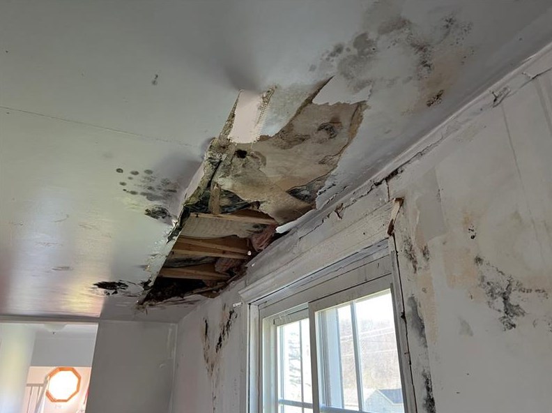 664 Banetown Rd, Washington PA 15301-6432 exterior