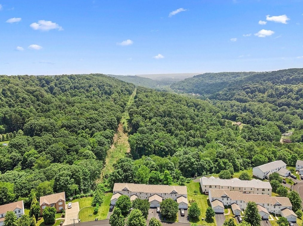 1025 Rural Ridge Dr, Cheswick, PA 15024