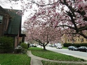 317 Greenlee Rd, Pittsburgh, PA 15227