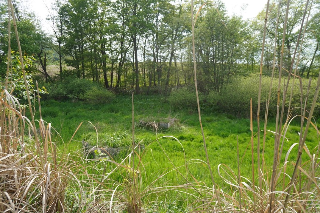 241 Kunkle Rd, Kittanning PA  16201-6035 exterior