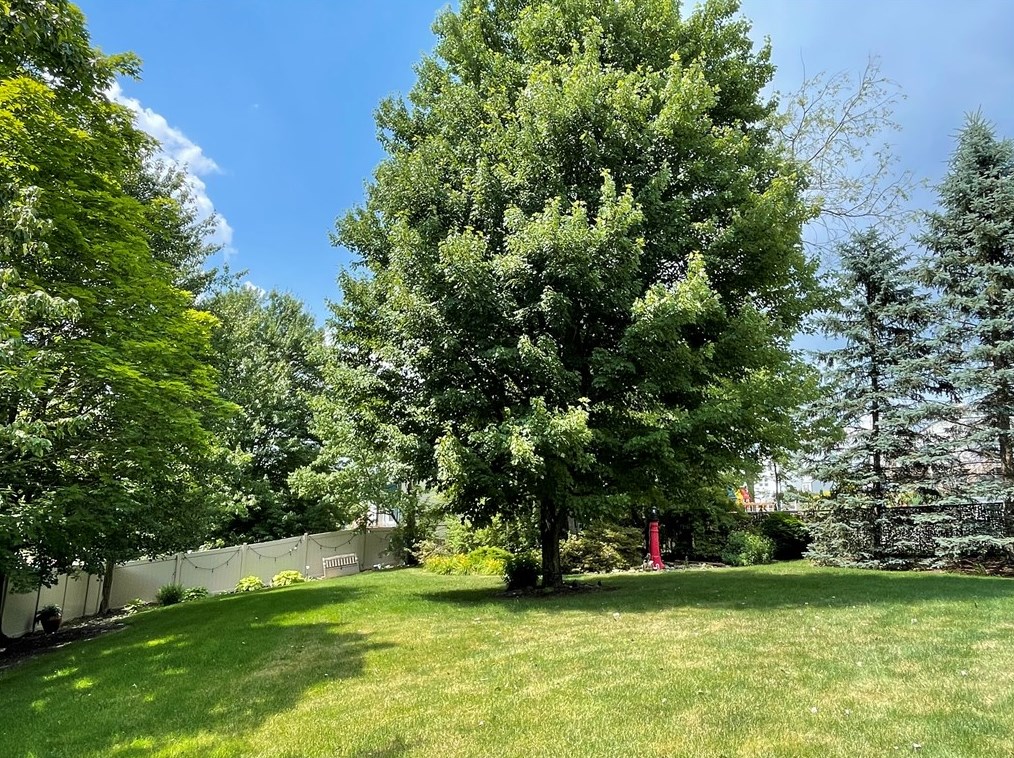 3579 Huntertown Rd, Allison Park PA  15101-5013 exterior