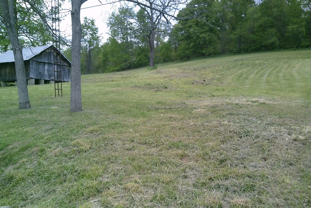 1635 E Roy Furman Hwy, Fairdale, PA 15320