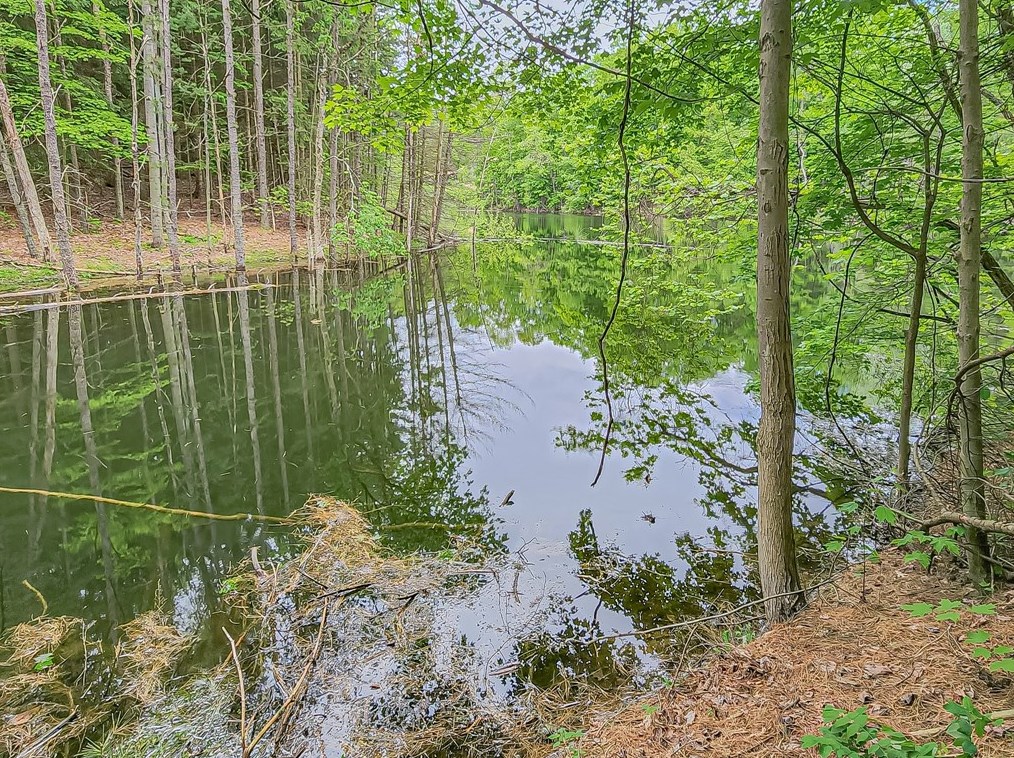 1046 Barkeyville Rd, Grove City, PA 16127
