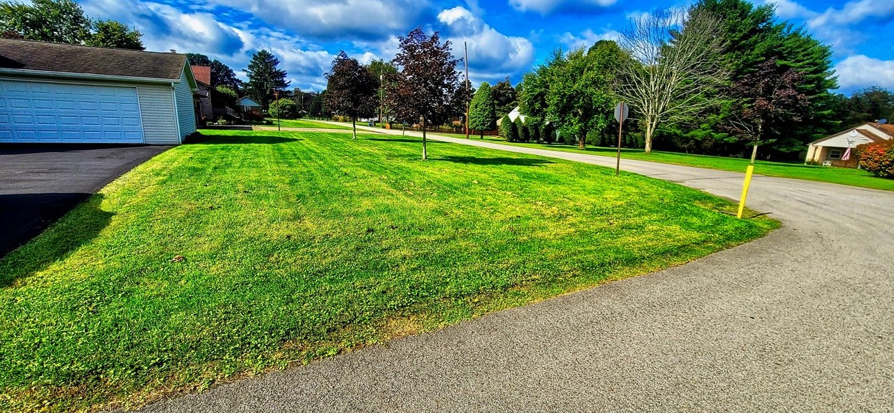 1245 Kepple Ave, Vandergrift, PA 15690