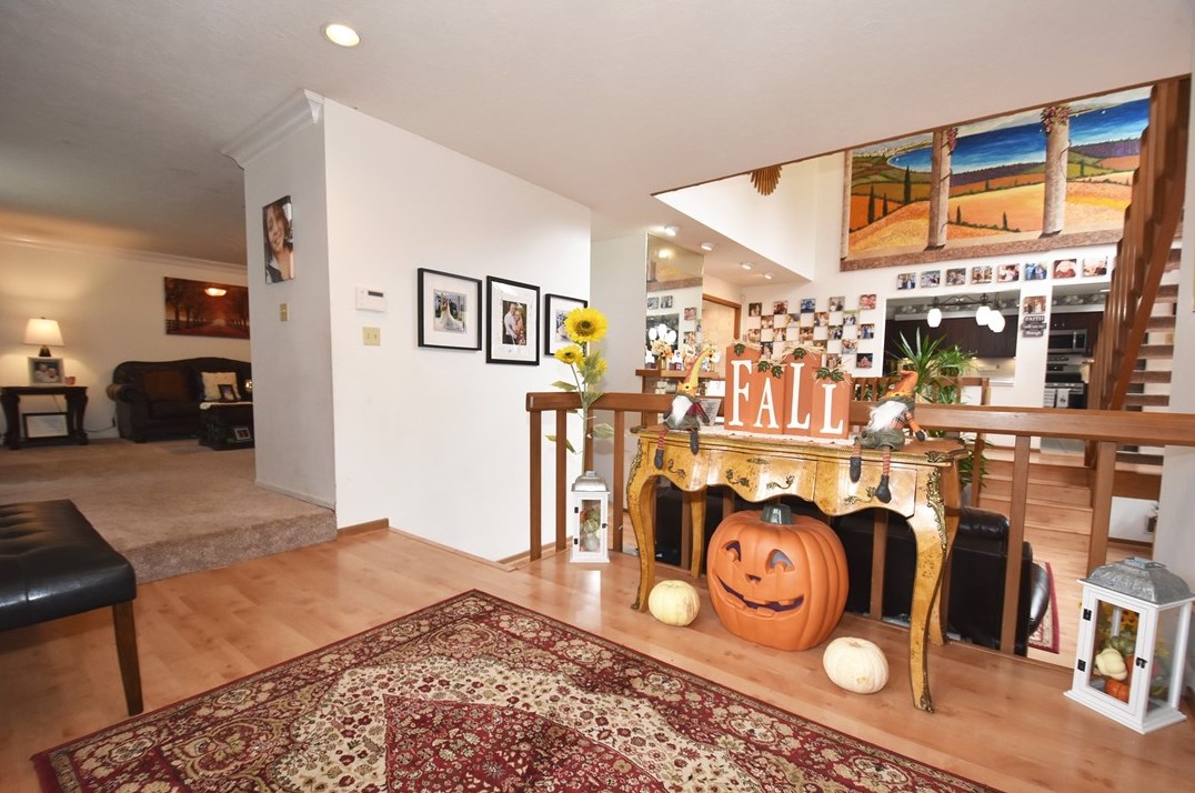 160 Wallace Dr, Monroeville, PA 15146-3104