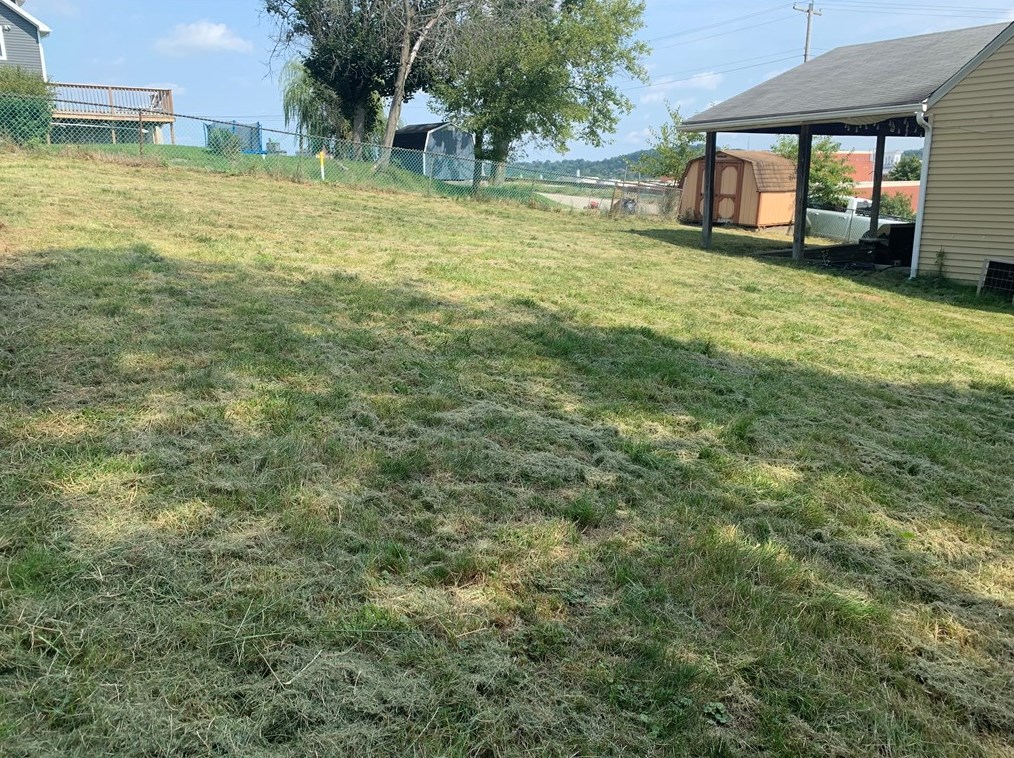 261 Park Ave, Washington PA 15301-8978 exterior