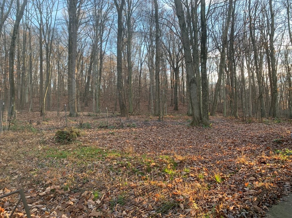 240 Birch Rd, Acme, PA 15610