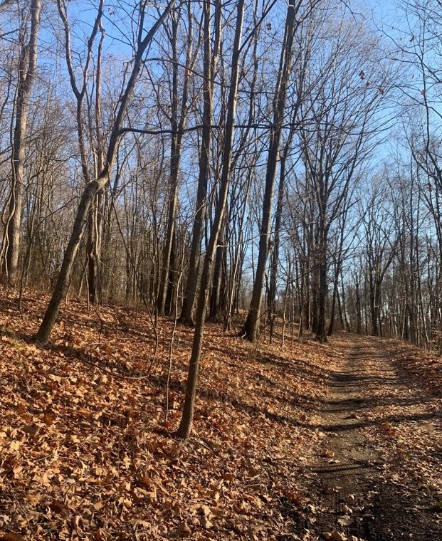 1515 Mount Pleasant Rd, Greensburg, PA 15601-6334