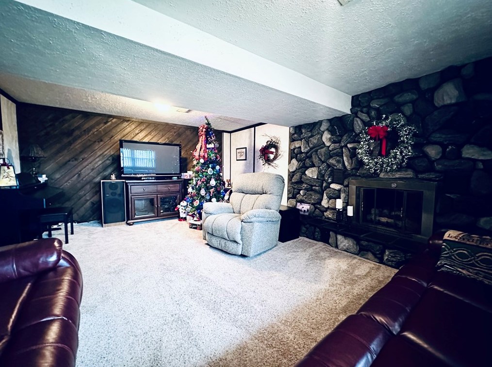 919 Moore St, Oliphant Furnace PA  15401-6747 exterior