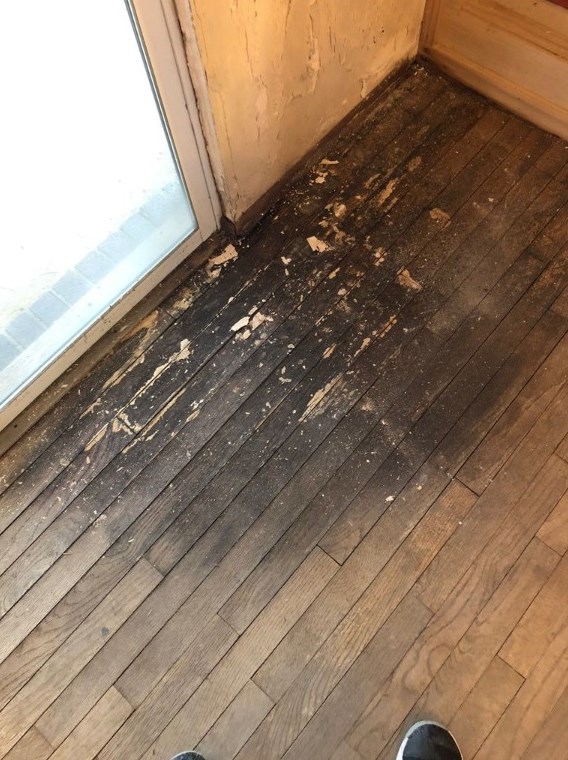 205 Montana Ave #15068, New Kensington, PA 15068