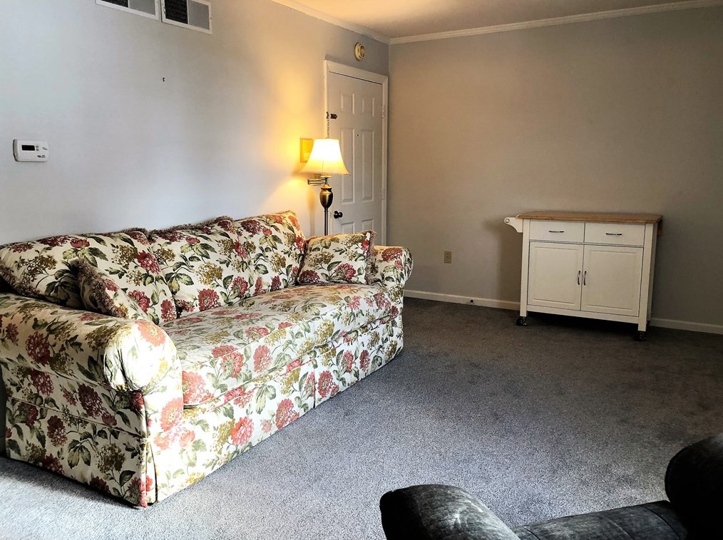 160 W Palm St #4, Washington, PA 15301