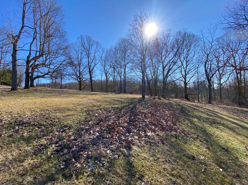1030 Willow Rd, Shelocta, PA 15774
