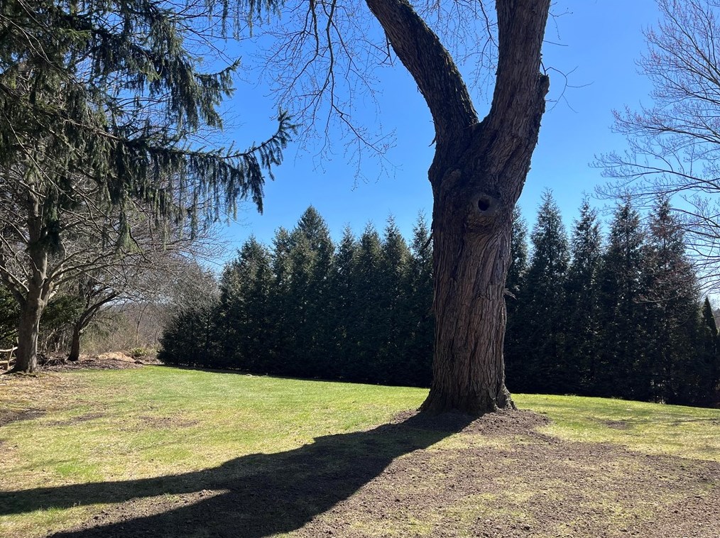 2389 Flagstaff Dr, Export PA  15632-8801 exterior