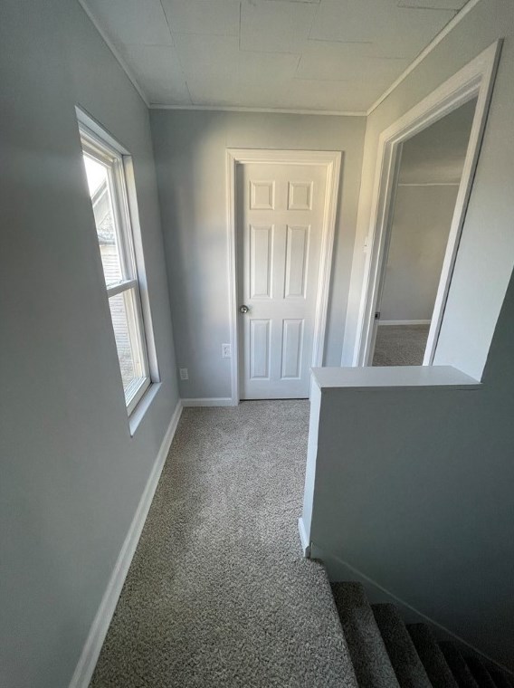221 Cleveland St, Butler PA  16001-5509 exterior