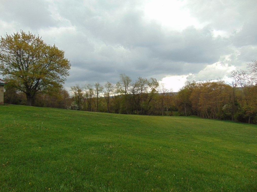 420 Bute Rd, Oliphant Furnace PA  15401-9602 exterior