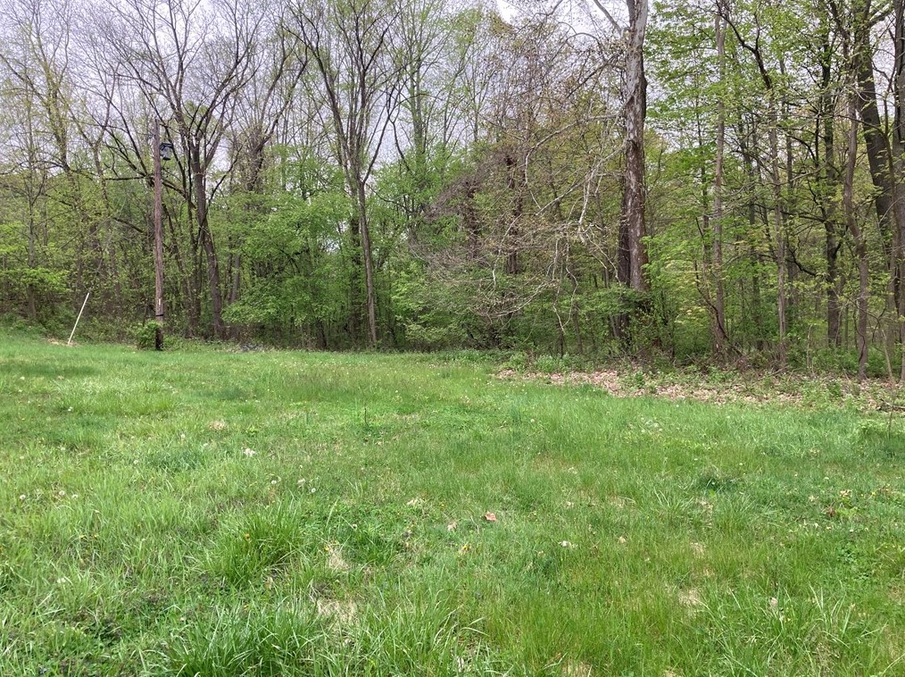 1187 Greenhouse Rd, Wampum, PA 16157