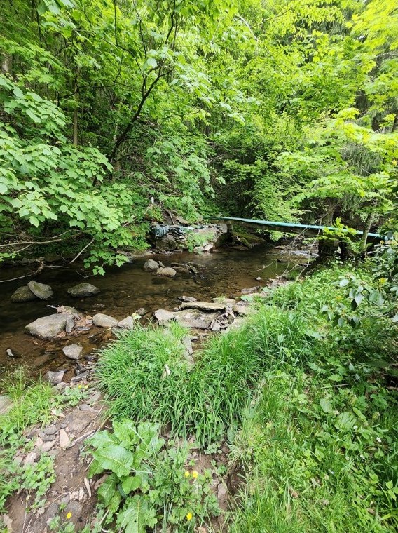 751 Triple Creek Rd, Champion, PA 15622