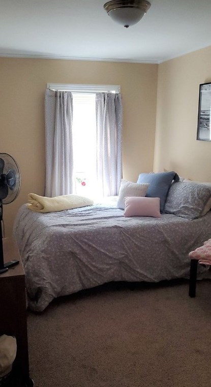 302 8th St, Indiana PA 15701-1771 exterior