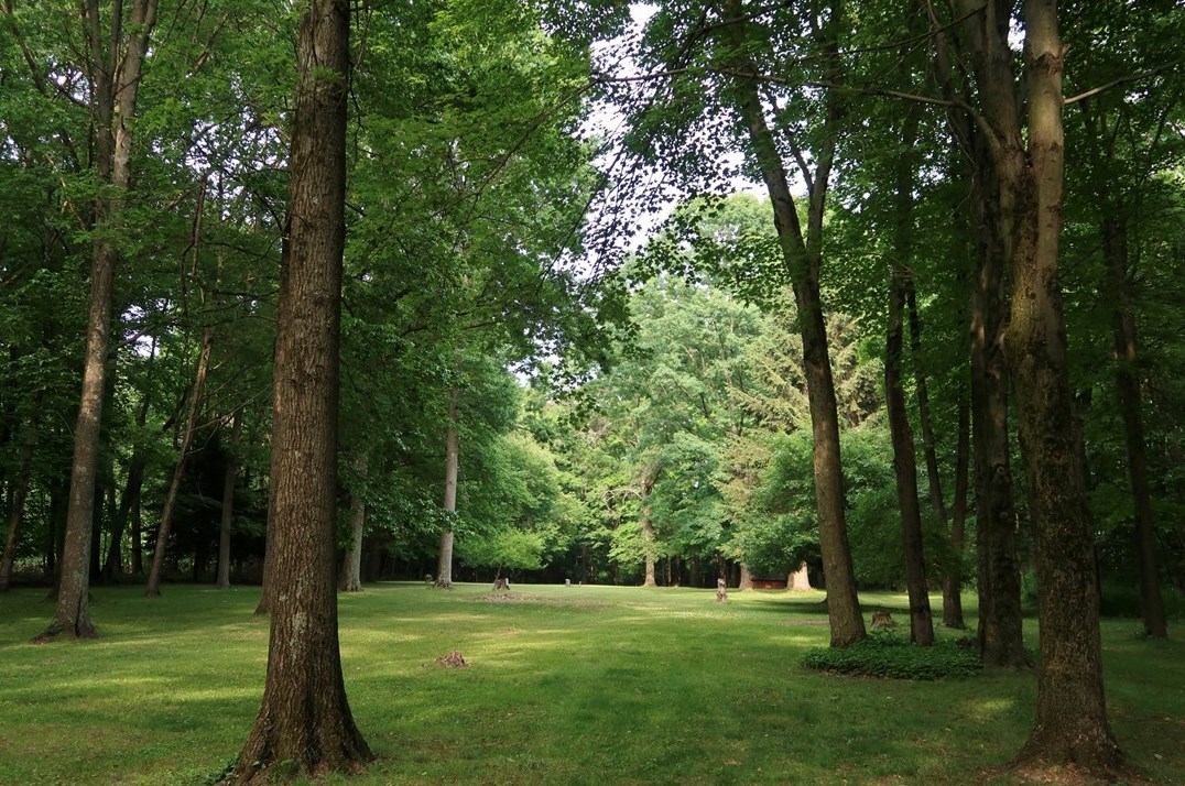 46 Reiber Rd, Hermitage, PA 16159