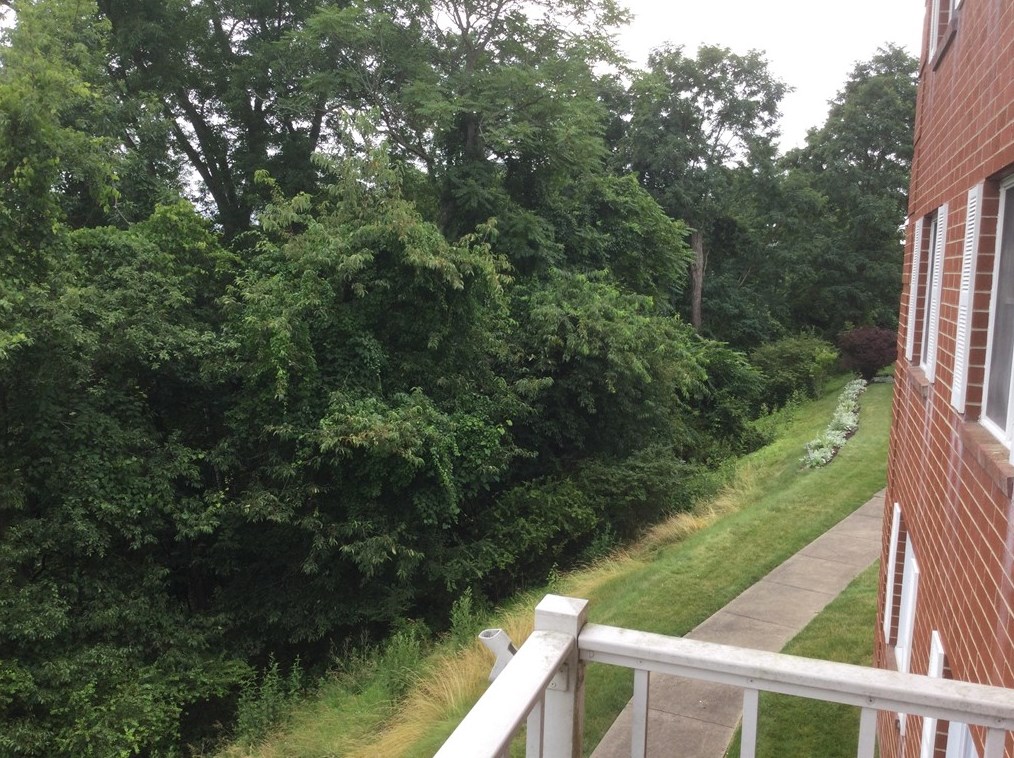 820 Main St, Washington PA  15301-3353 exterior