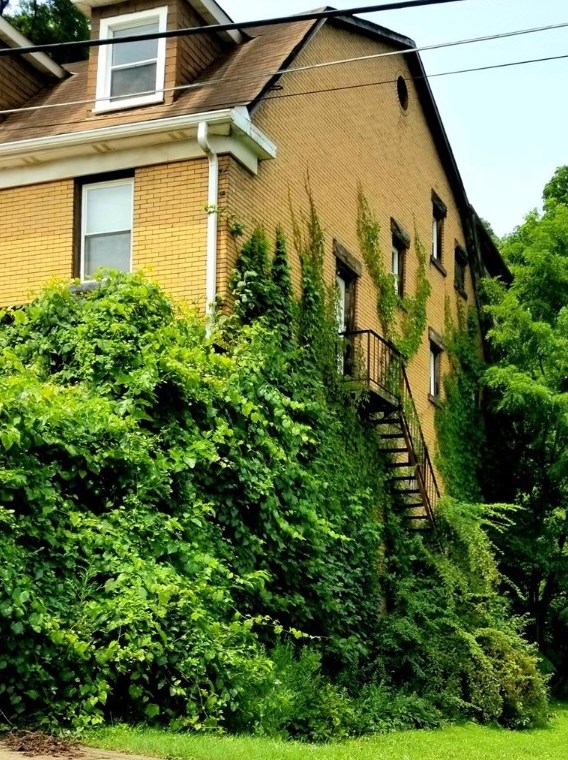 400 Robinson St, Monroeville, PA 15140-1317