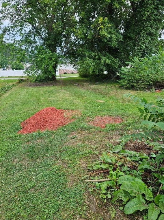 1309 W Crawford Ave, Connellsville, PA 15425