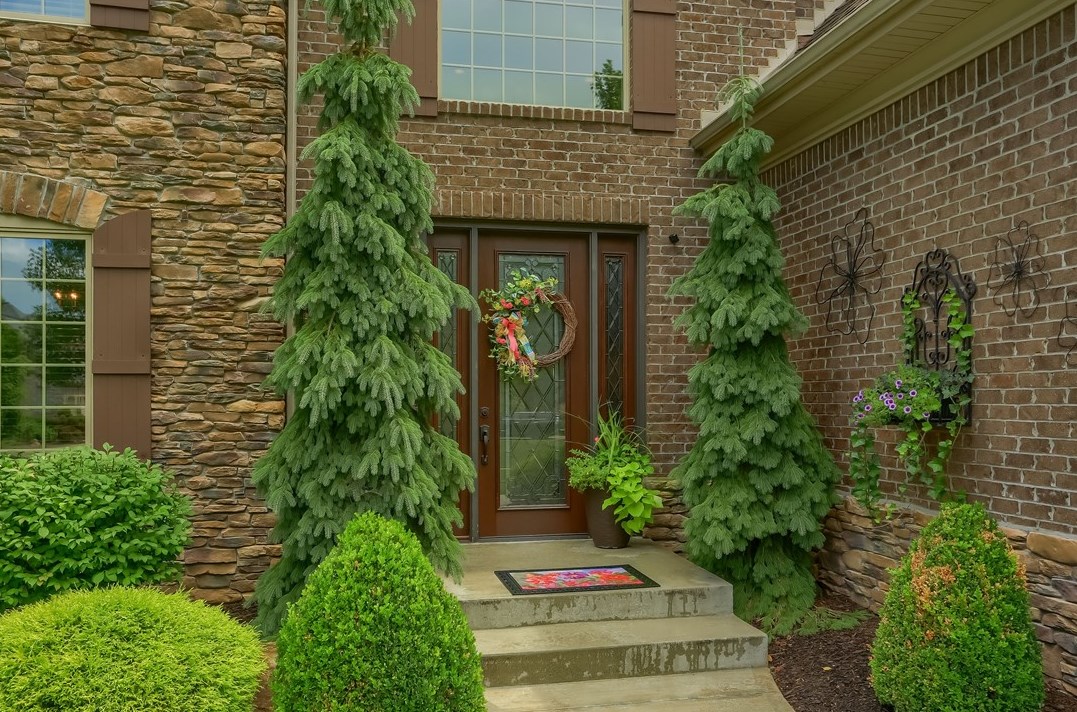 223 Longbow Ln, Seven Fields, PA 16046-5105