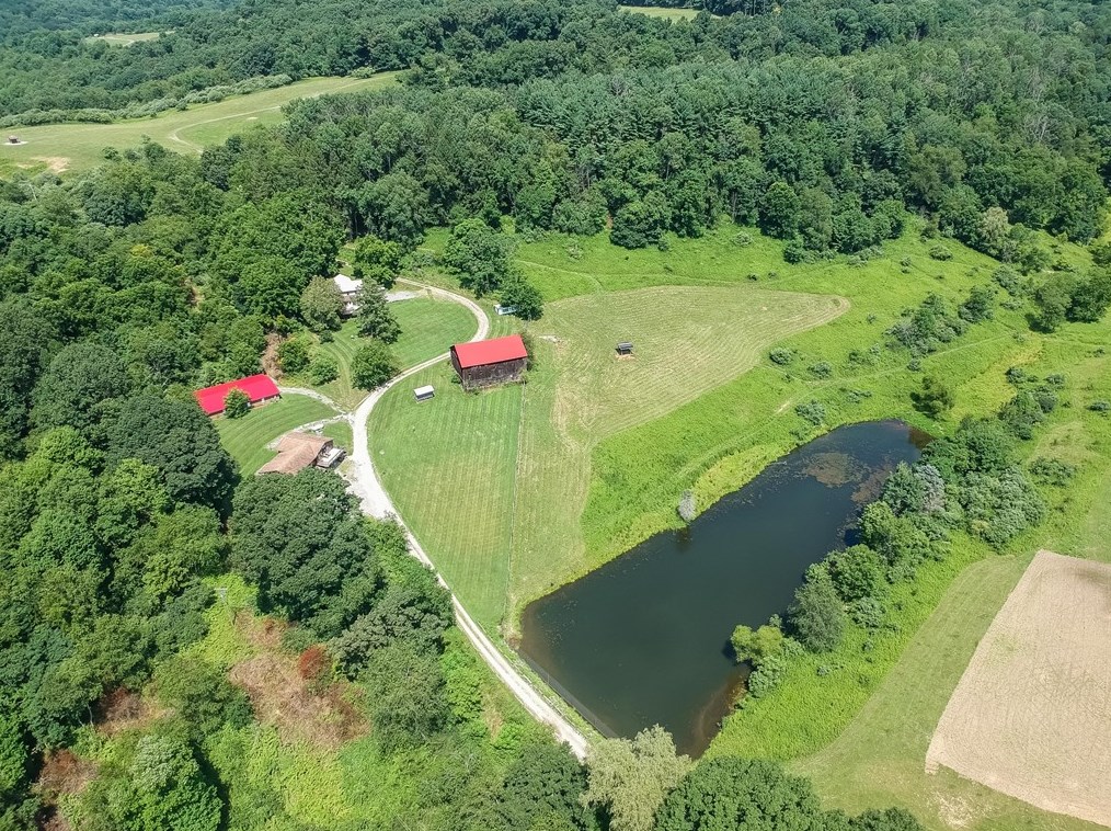 134 Sasse Rd, Cabot, PA 16023
