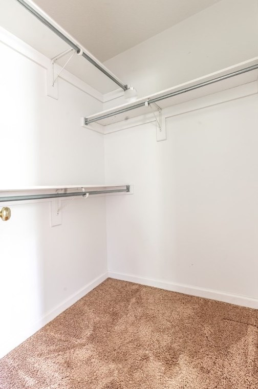 2206 Hyer Ave, North Versailles PA 15137-1182 exterior