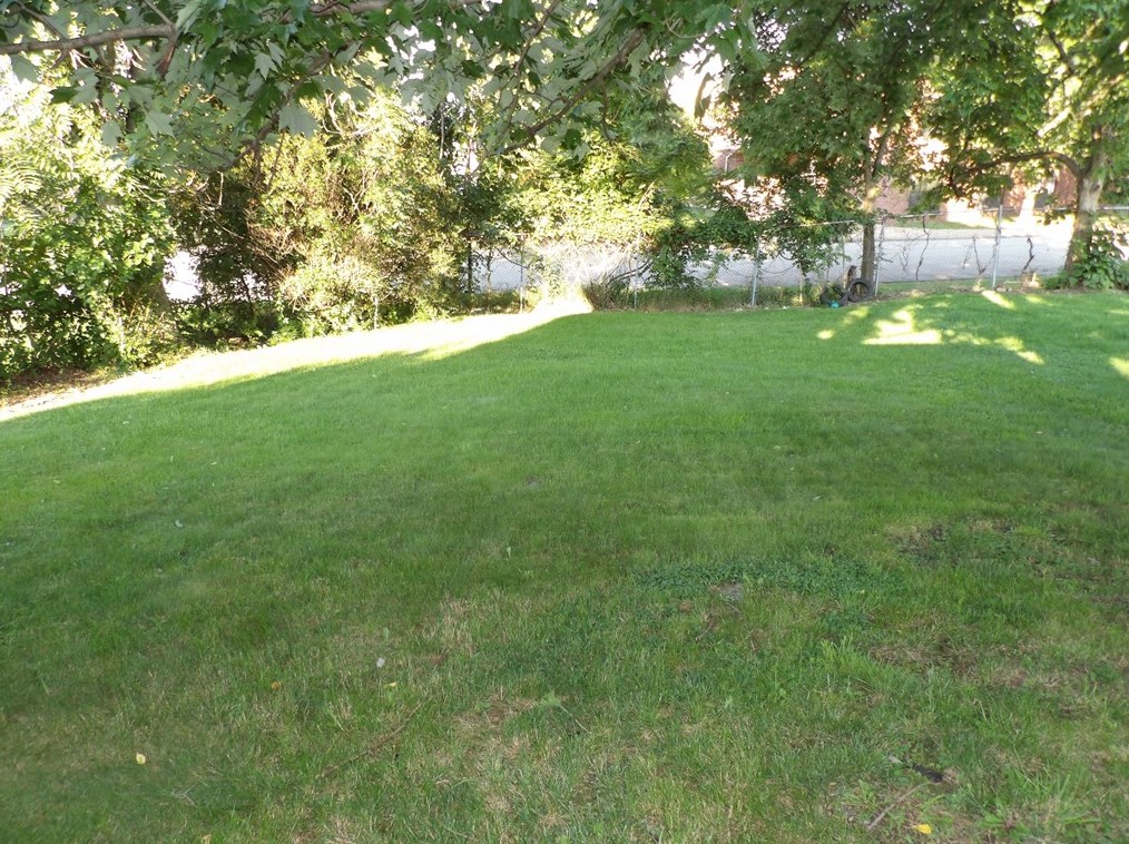 6 Markle St, Oliphant Furnace, PA 15401-3739