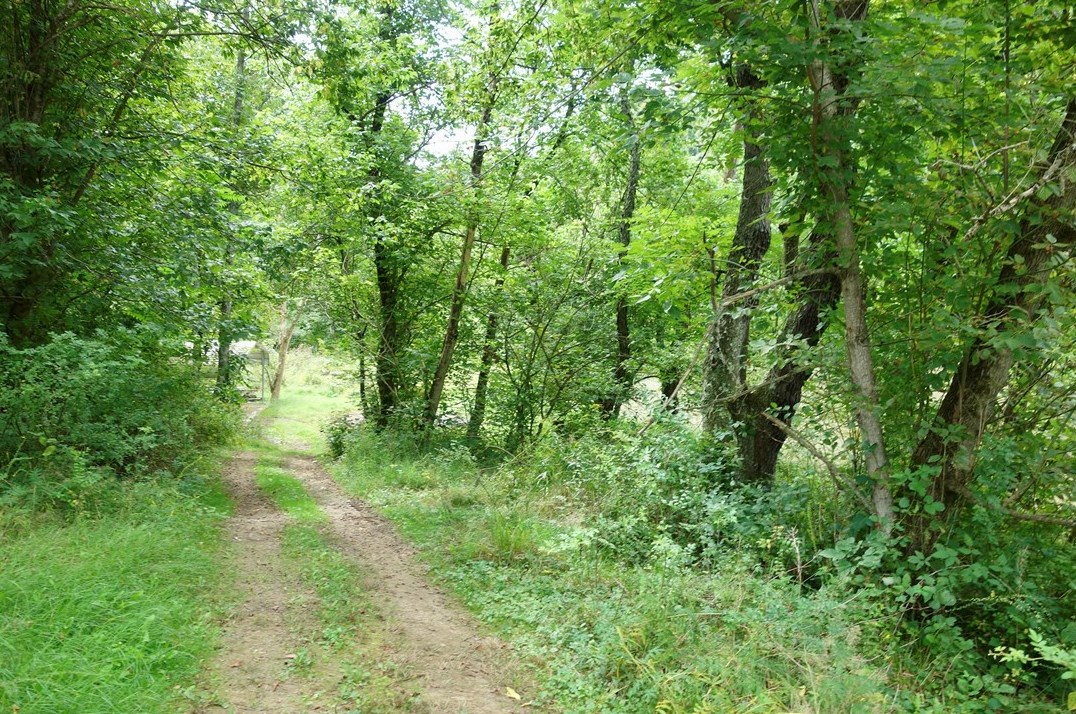 1230 Mounts Rd, Washington PA 15301-8540 exterior