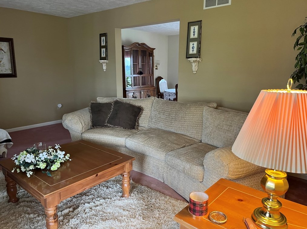 283 Florene Ave, Oliphant Furnace, PA 15401-8973