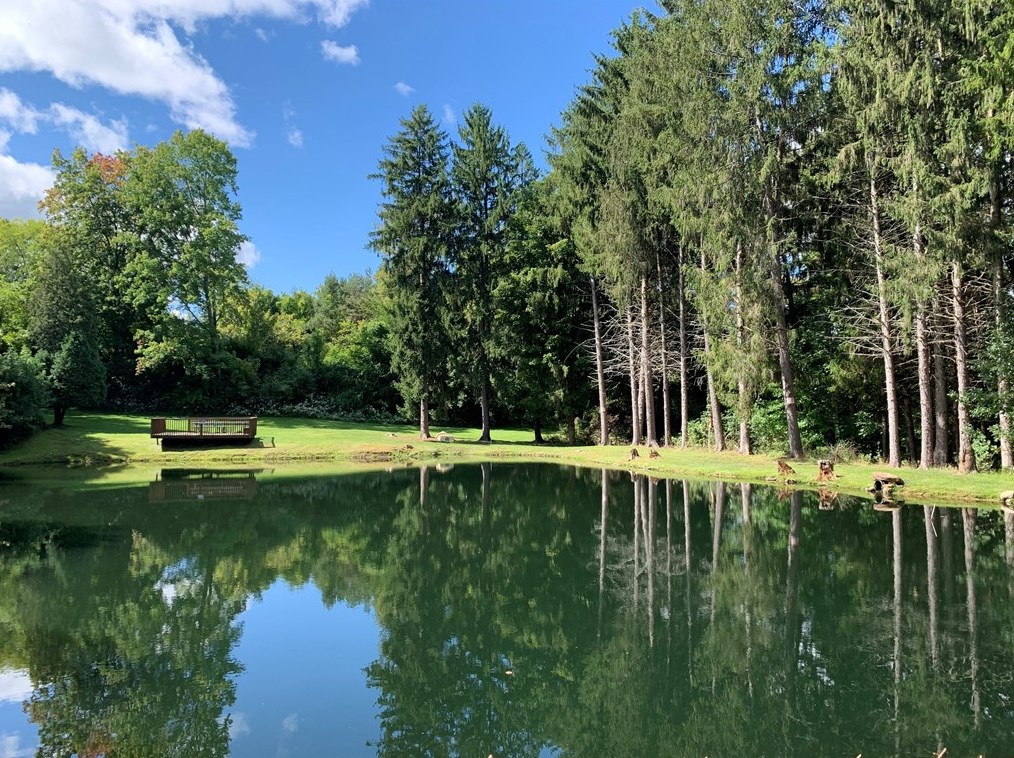 154 Mcbride Hill Rd, Butler, PA 16002