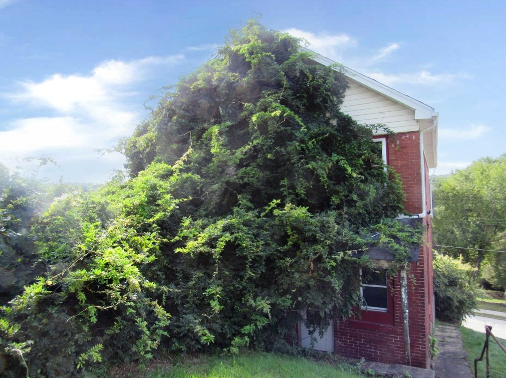 218 Duquesne Ave, Trafford, PA 15085