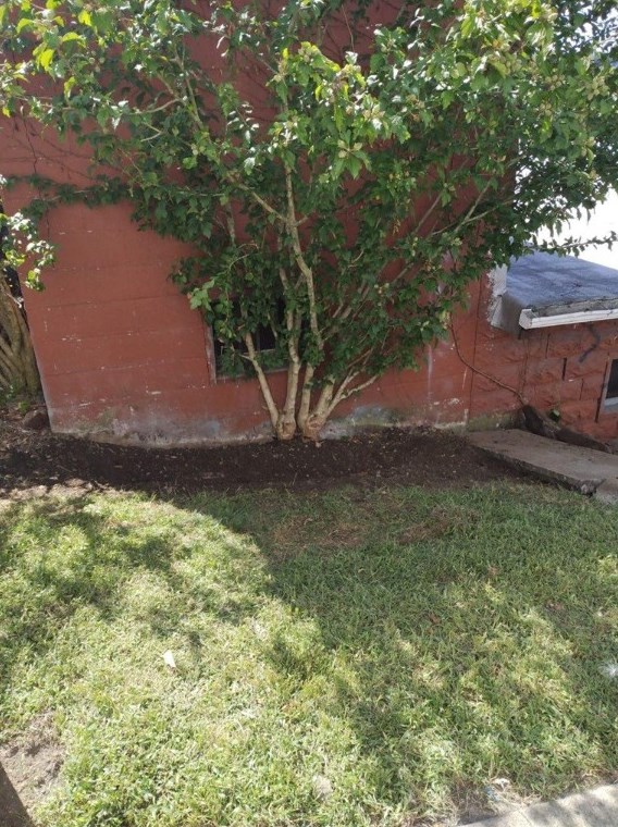 133 N 2nd St #3, West Newton, PA 15089
