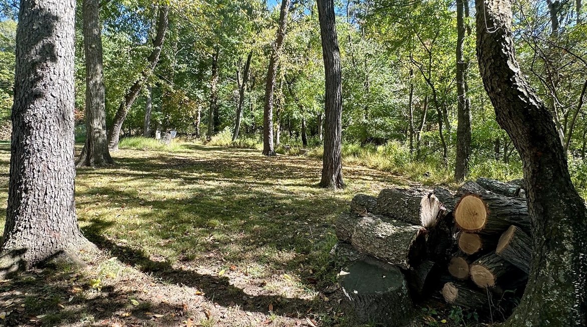 493 Birch Way, New Kensington PA  15068-5037 exterior