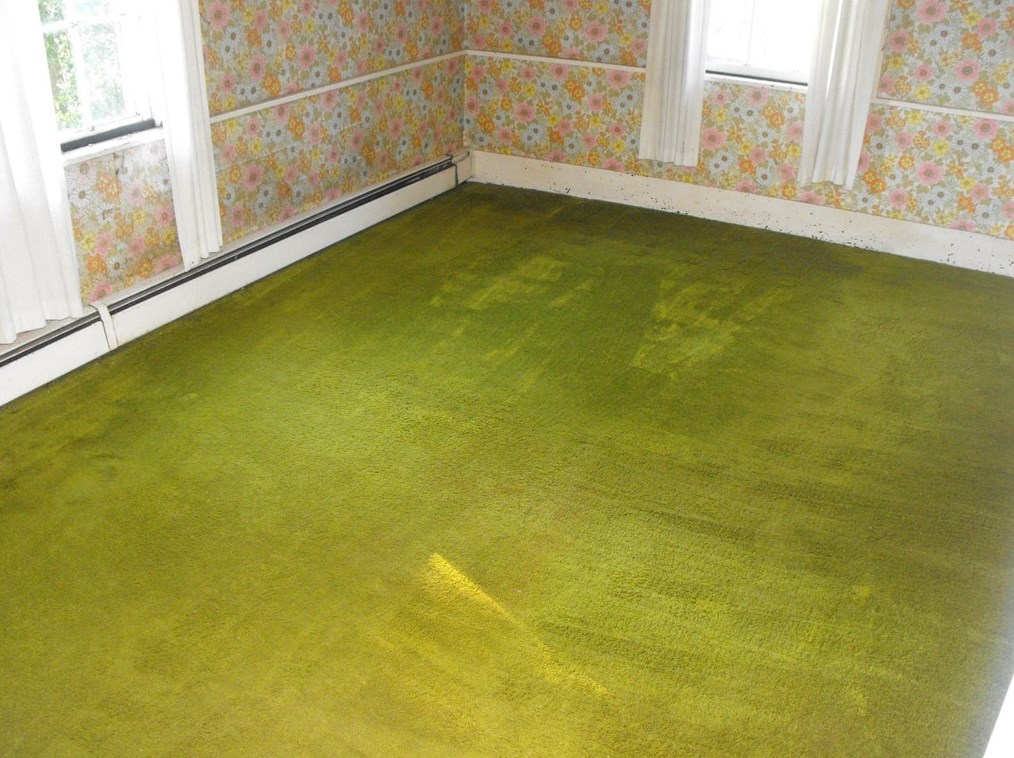 209 Lauffer Mine Rd, Export PA  15632-2020 exterior