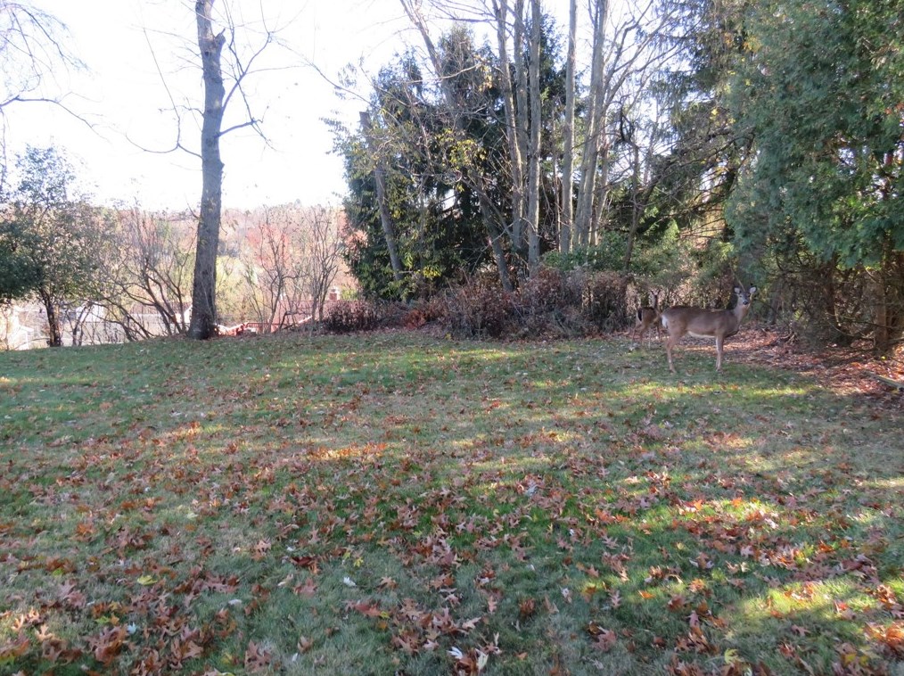 5533 Clark Ave, Bethel Park, PA 15102-2629