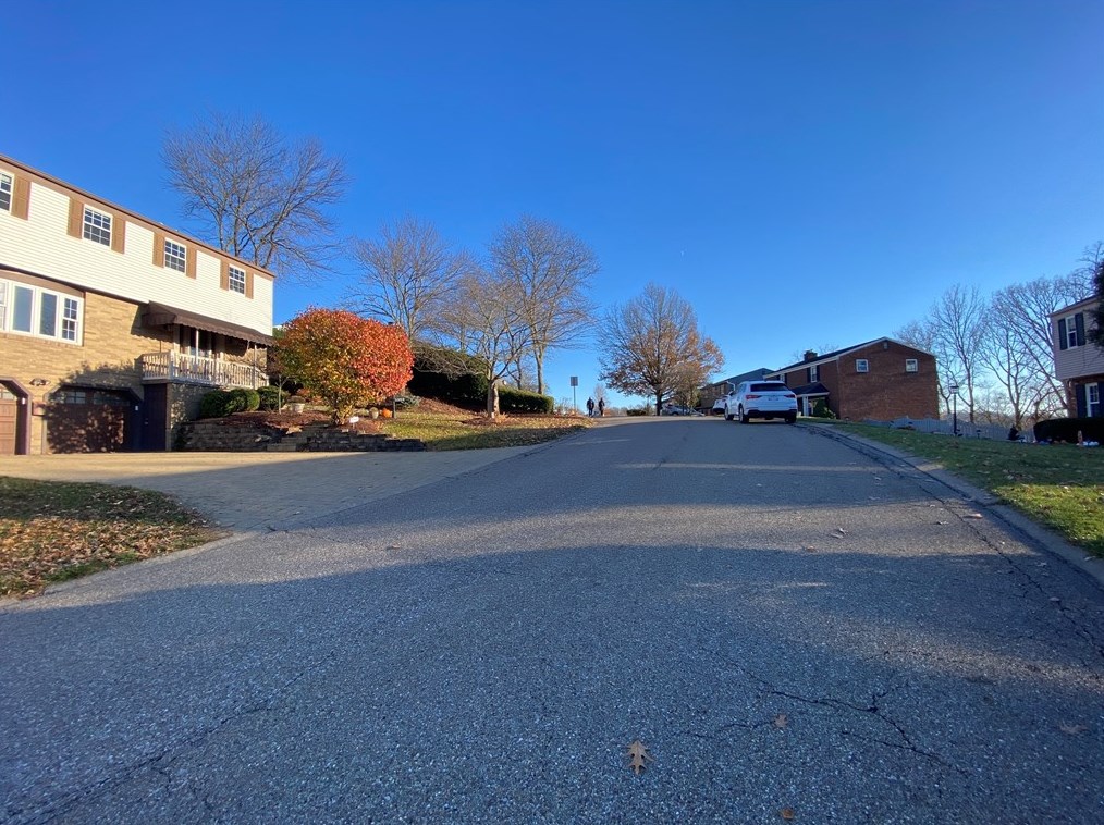 1349 Pesavento Dr, Bridgeville, PA 15017
